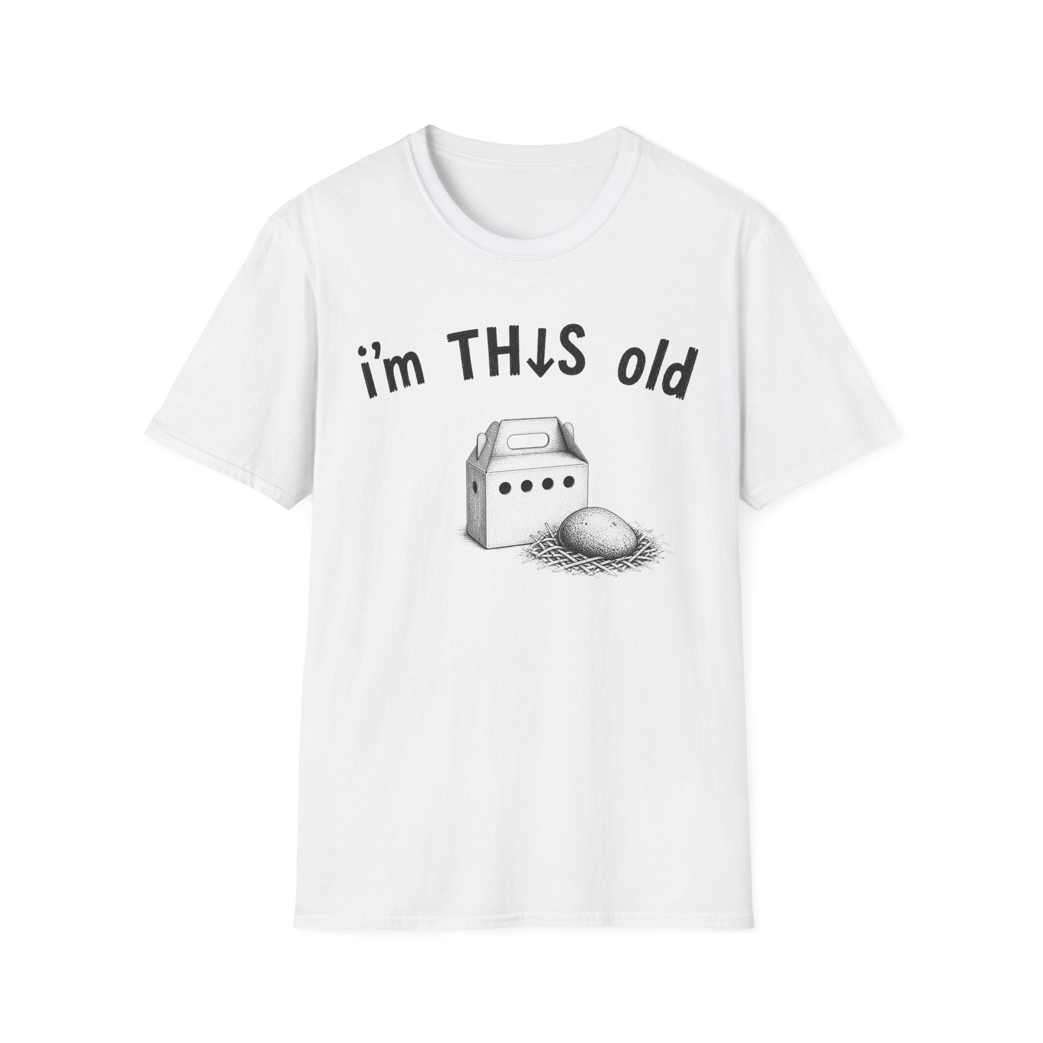 I’m This Old pet rock T-shirt