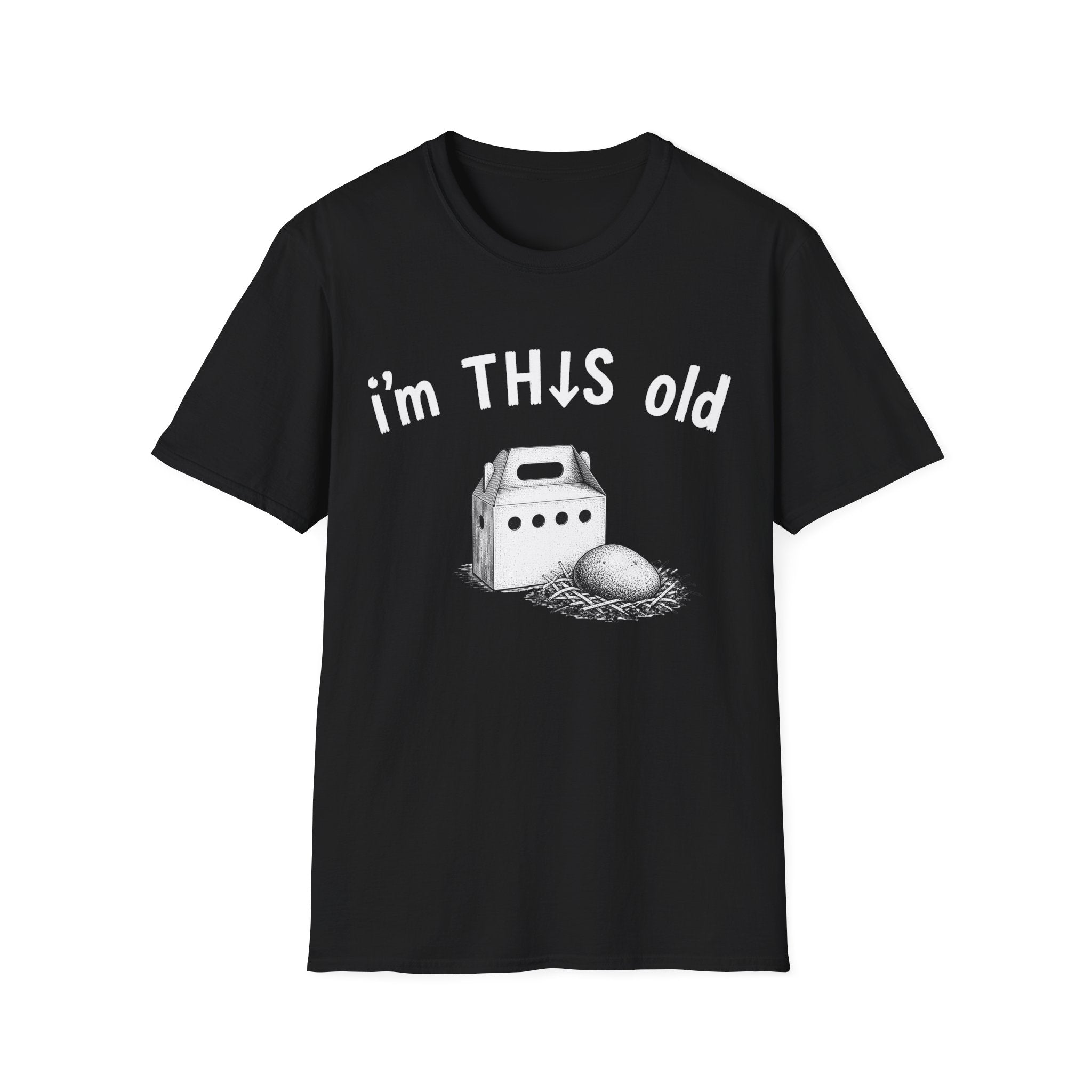 I’m This Old pet rock T-shirt