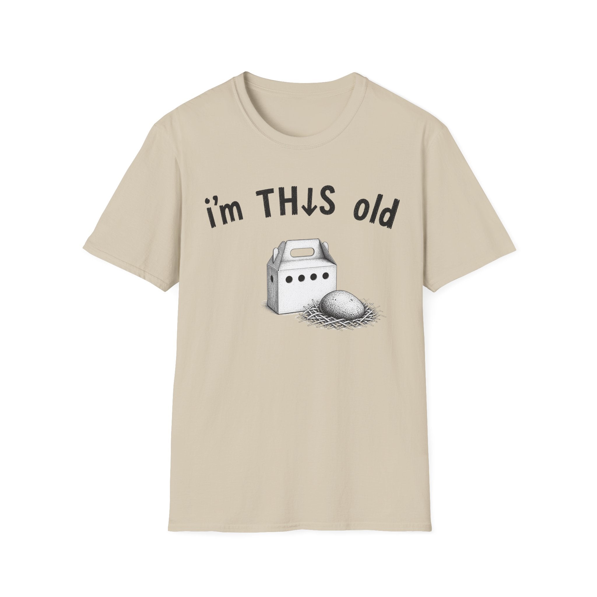 I’m This Old pet rock T-shirt