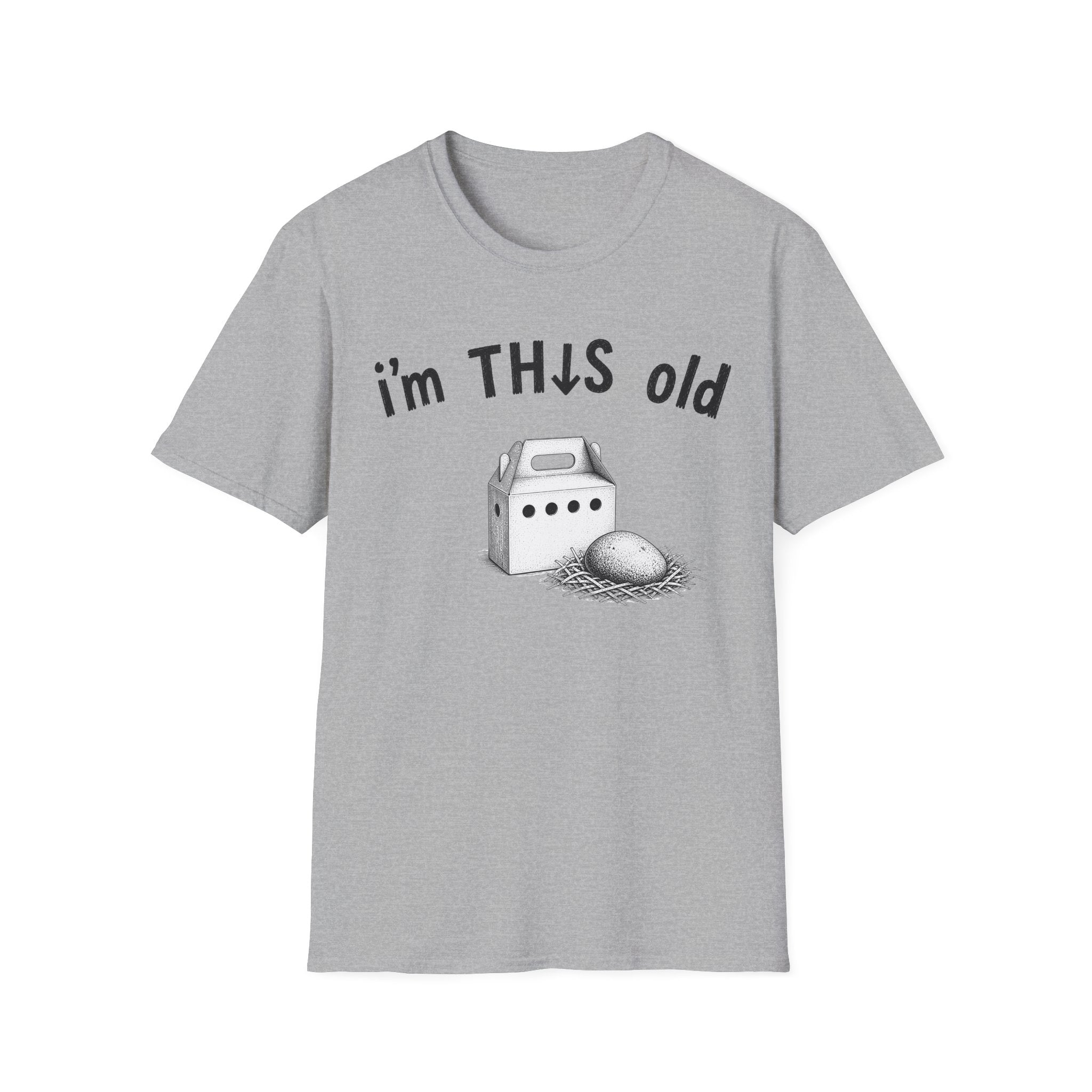 I’m This Old pet rock T-shirt